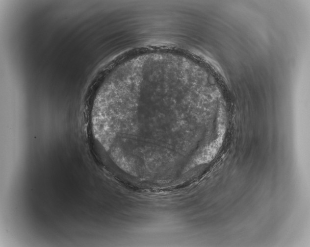 X0000101090920200807241004