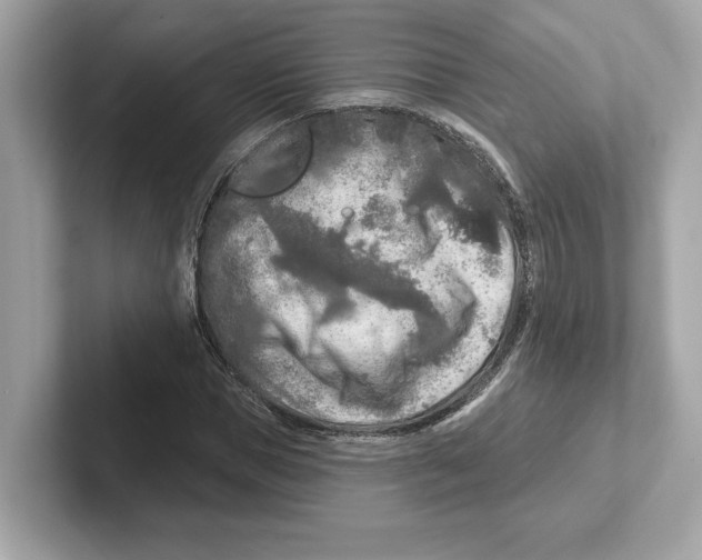 X0000101090921200807241004