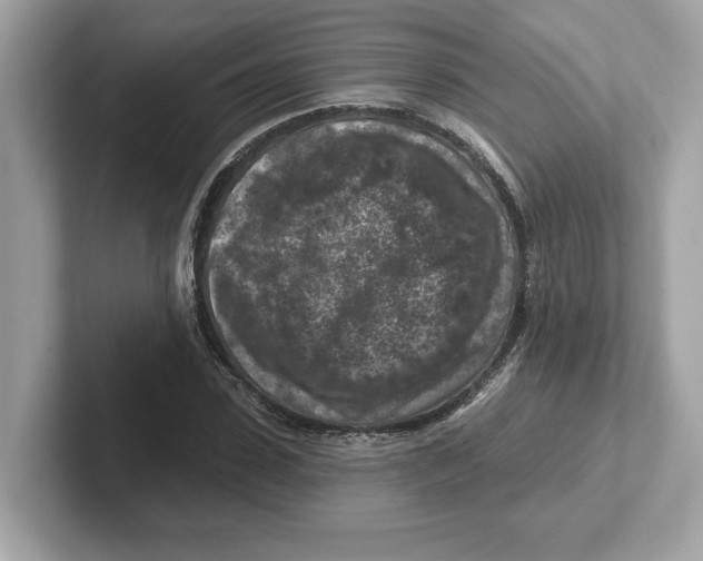 X0000101090923200807241005