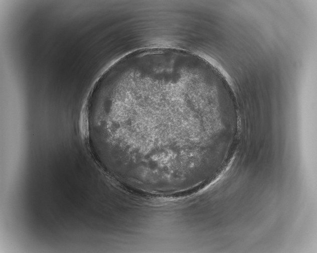 X0000101090925200807241005