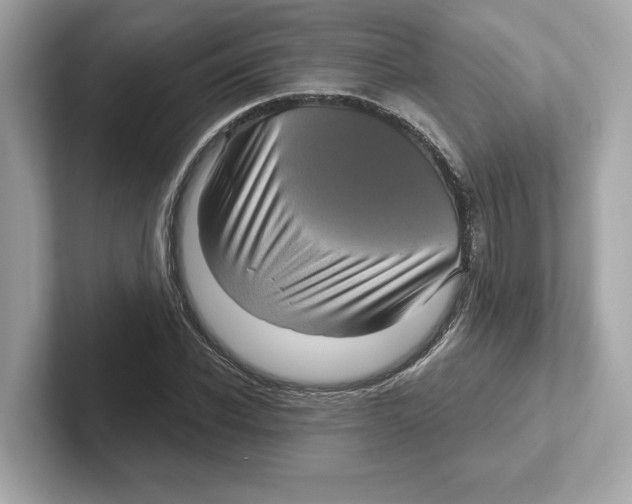 X0000101090926200807241005