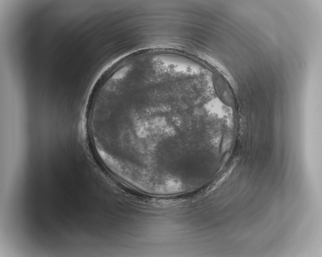 X0000101090928200807241005