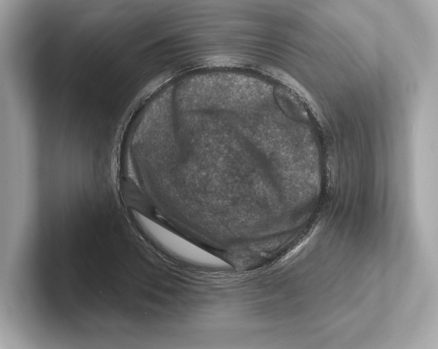 X0000101090930200807241005