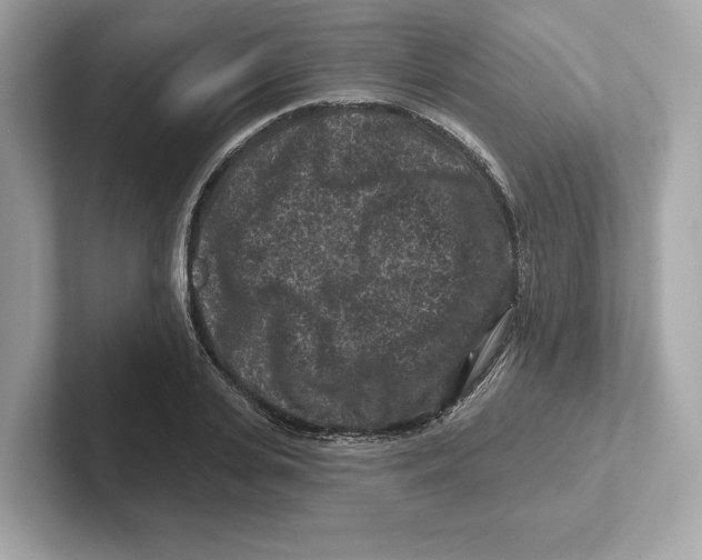 X0000101090935200807241005