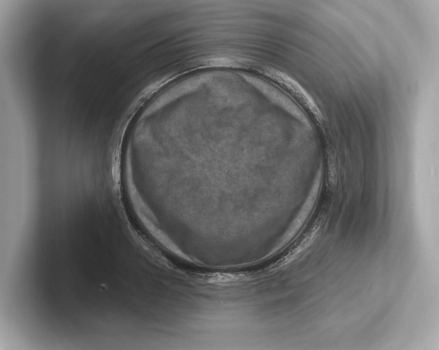 X0000101090938200807241005