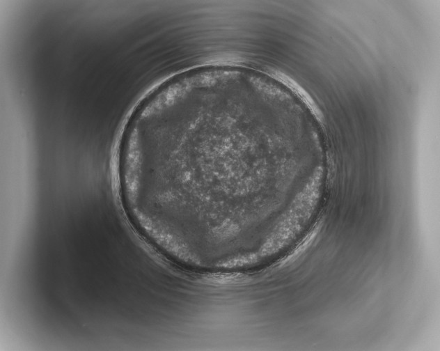 X0000101090939200807241005