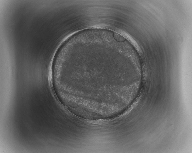 X0000101090940200807241005