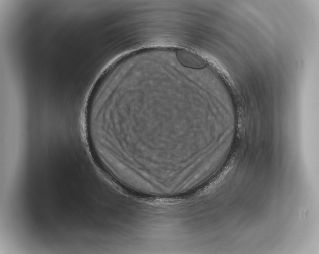 X0000101090942200807241005