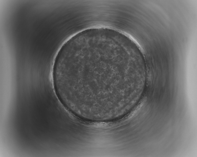 X0000101090943200807241005