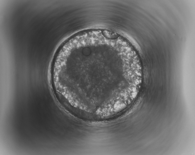 X0000101090944200807241005