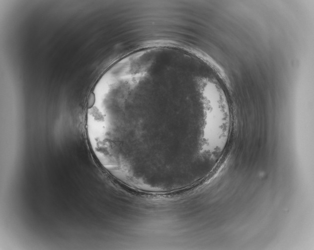 X0000101090945200807241005