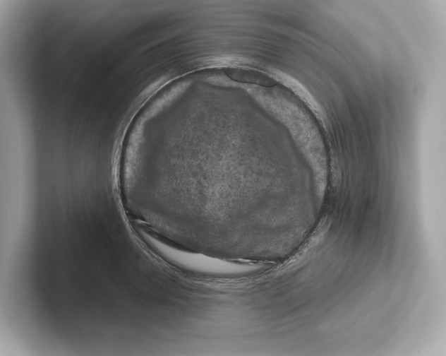 X0000101090946200807241005