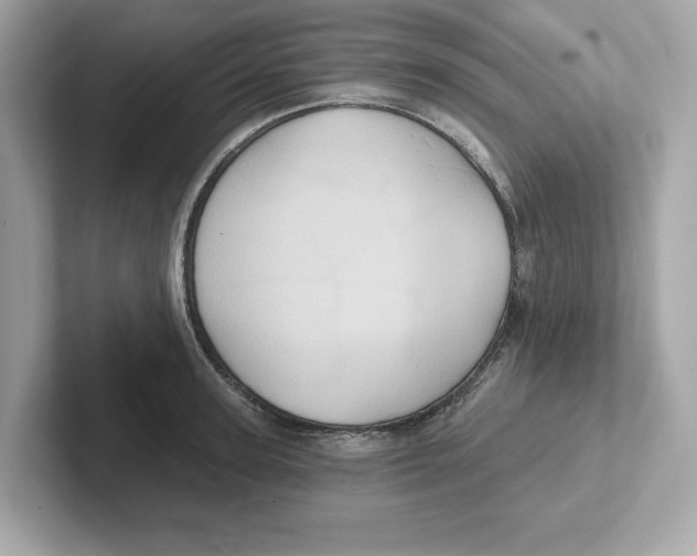 X0000101090947200807241005