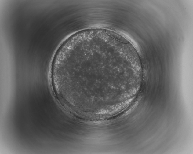 X0000101090948200807241005