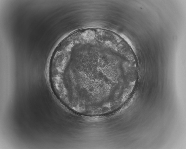 X0000101090949200807241005