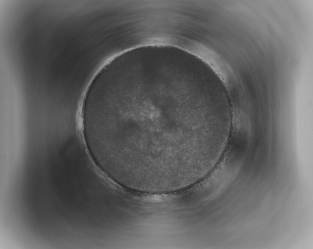 X0000101090950200807241005