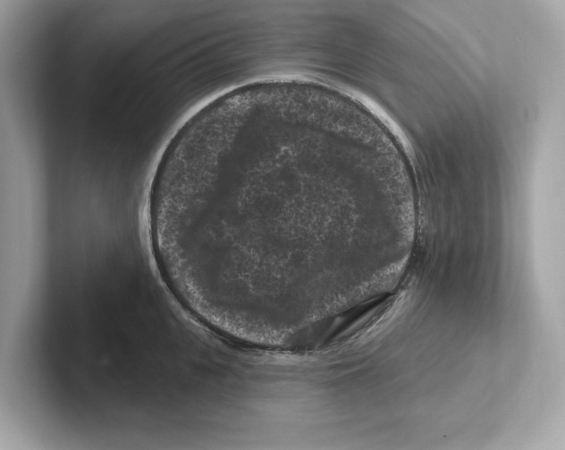 X0000101090951200807241005