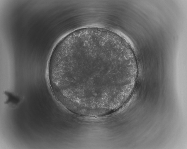 X0000101090952200807241005