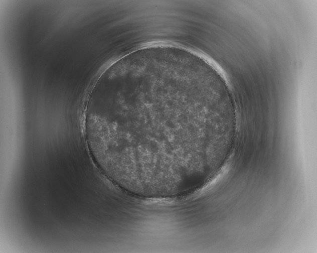 X0000101090953200807241005