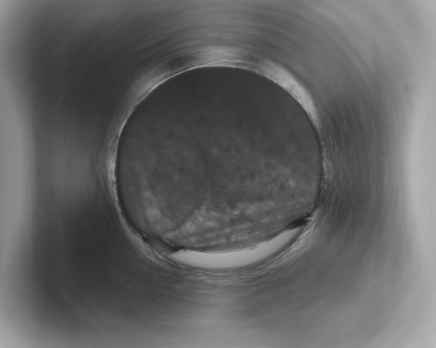 X0000101090954200807241005