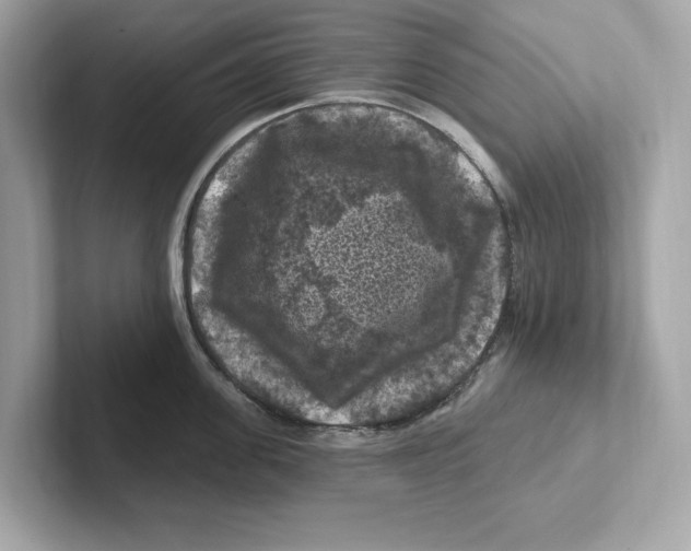 X0000101090955200807241005