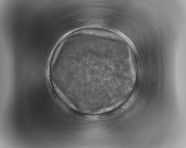 X0000101090956200807241005