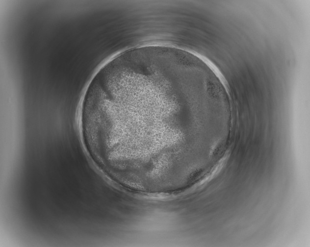 X0000101090957200807241005