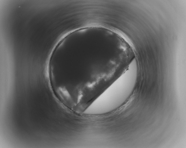 X0000101090958200807241005