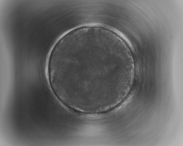 X0000101090959200807241005