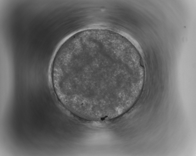 X0000101090960200807241005