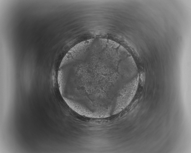 X0000101090963200807241004