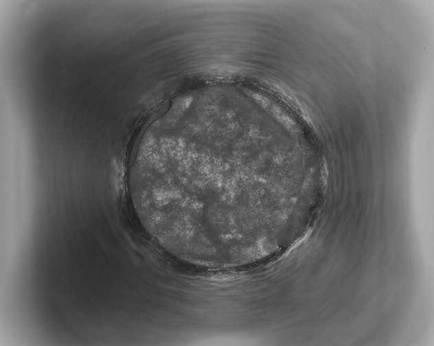 X0000101090964200807241004