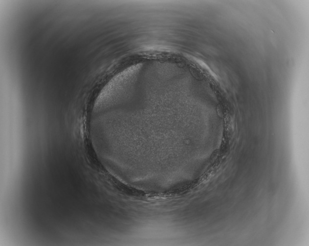 X0000101090965200807241004