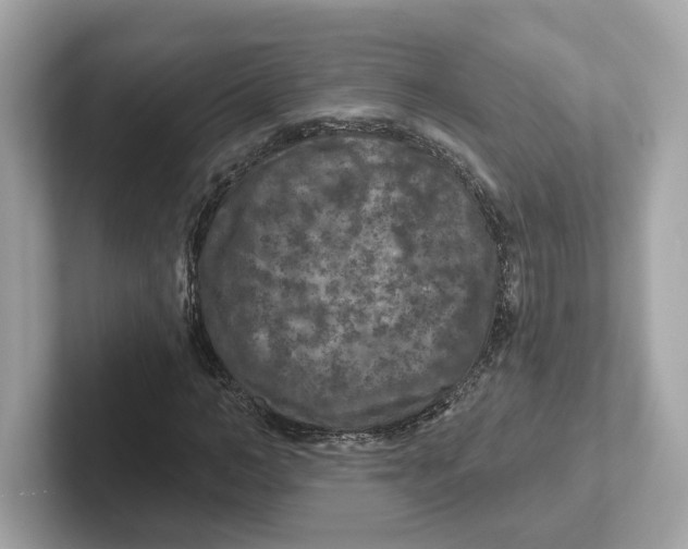 X0000101090966200807241004