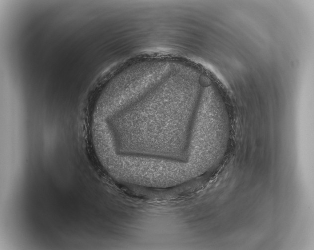 X0000101090967200807241004