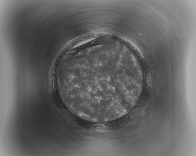 X0000101090968200807241004