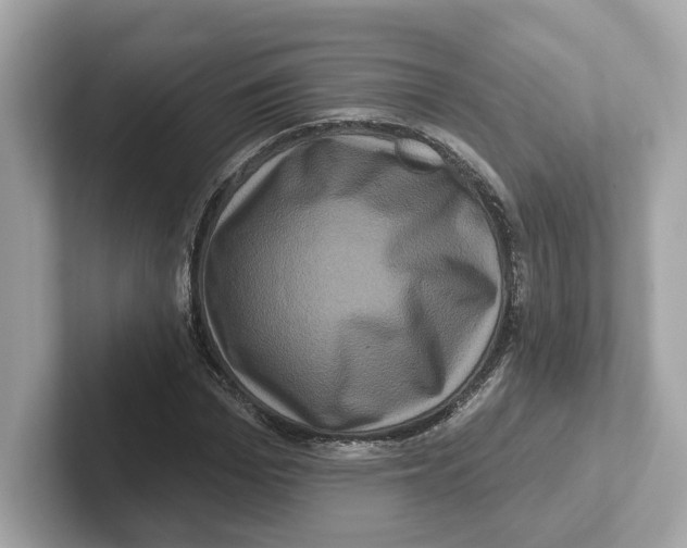 X0000101090969200807241004