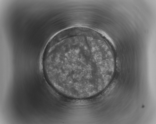 X0000101090972200807241004