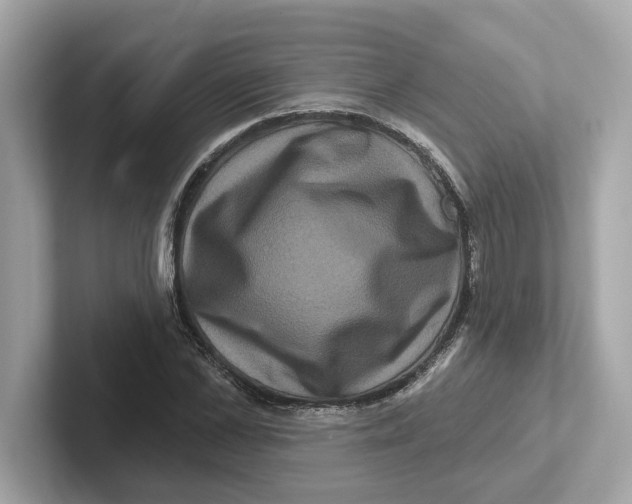 X0000101090973200807241004