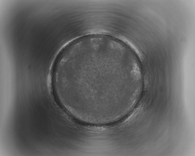 X0000101090975200807241004