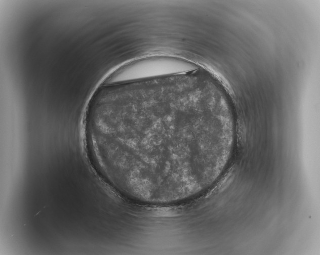 X0000101090976200807241004