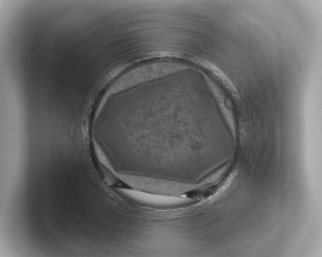 X0000101090977200807241004