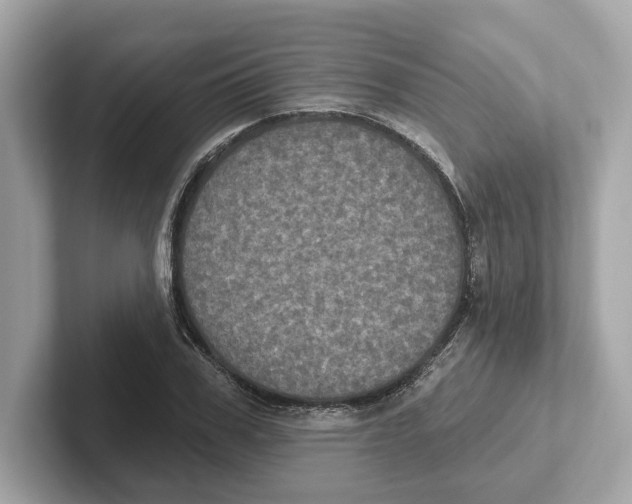 X0000101090979200807241004