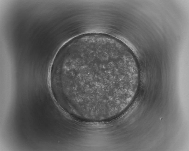 X0000101090980200807241004