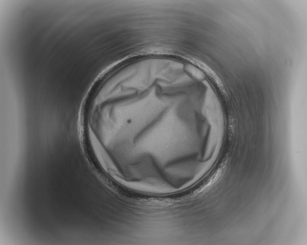 X0000101090981200807241004