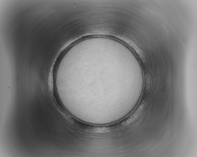 X0000101090982200807241004