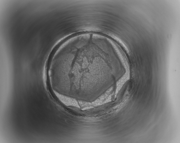 X0000101090983200807241004