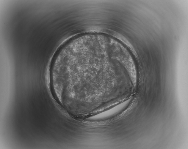 X0000101090984200807241004