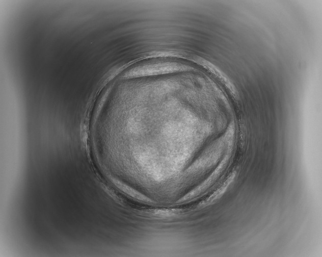 X0000101090985200807241004