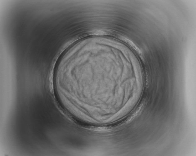 X0000101090986200807241004